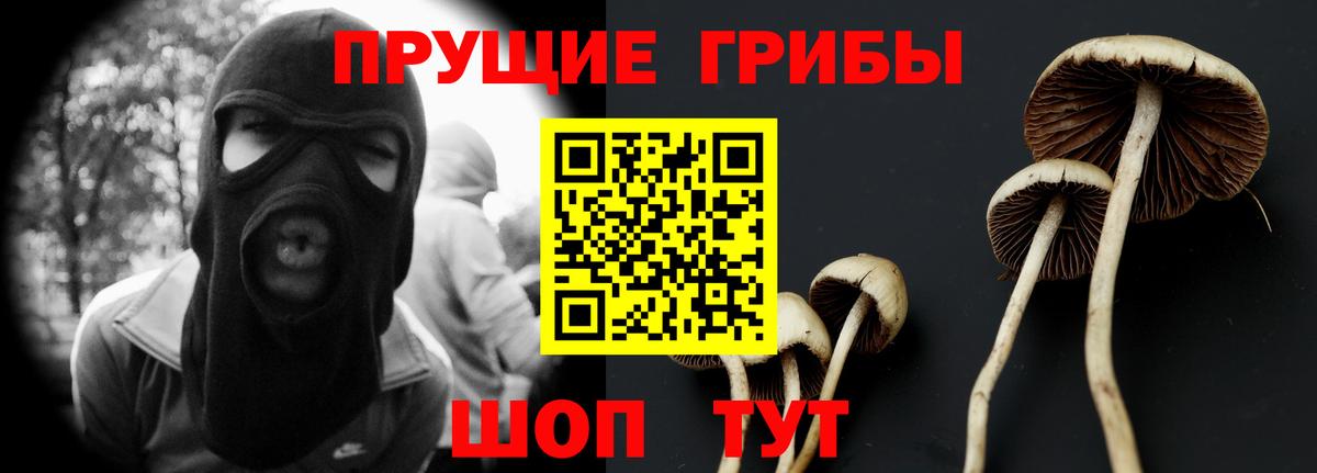 Псилоцибиновые грибы мицелий  Вход с VPN  Алатырь 